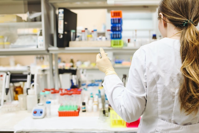 lab